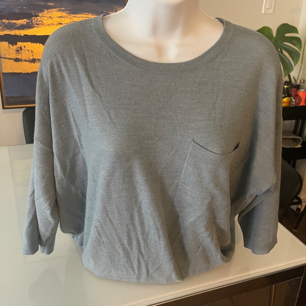 Eileen Fisher Merino Wool Sweater with Short Sleeves Large